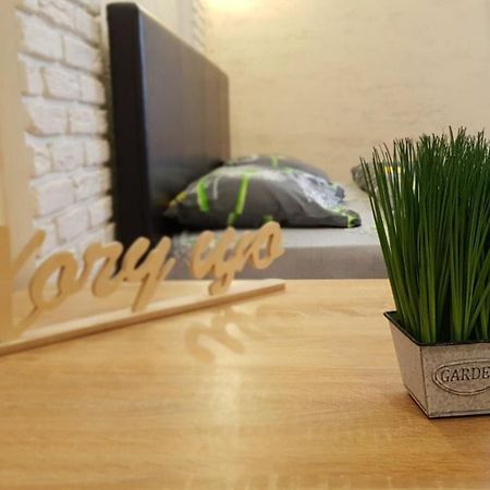 New Luxury Studio Apartment Ivano-Frankivsk Exteriör bild