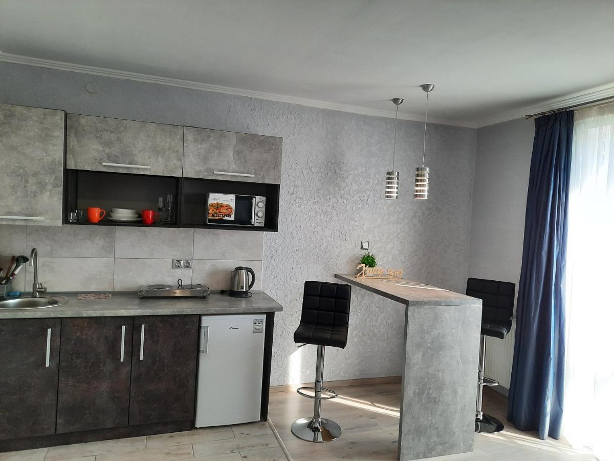 New Luxury Studio Apartment Ivano-Frankivsk Exteriör bild